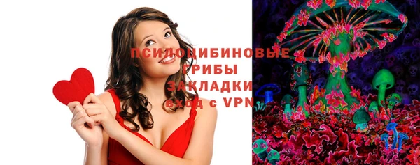 PSILOCYBIN Лагань