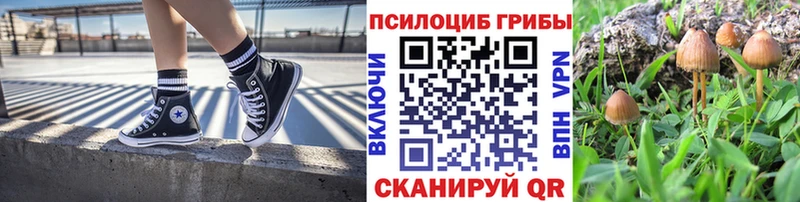 Псилоцибиновые грибы прущие грибы  Подольск 